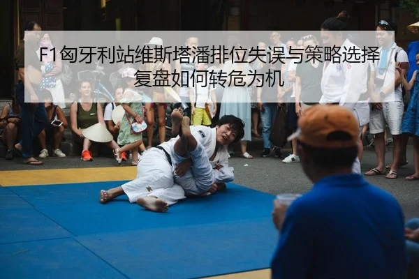 F1匈牙利站维斯塔潘排位失误与策略选择复盘如何转危为机